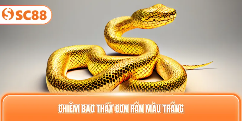 Chiêm bao thấy con rắn màu trắng