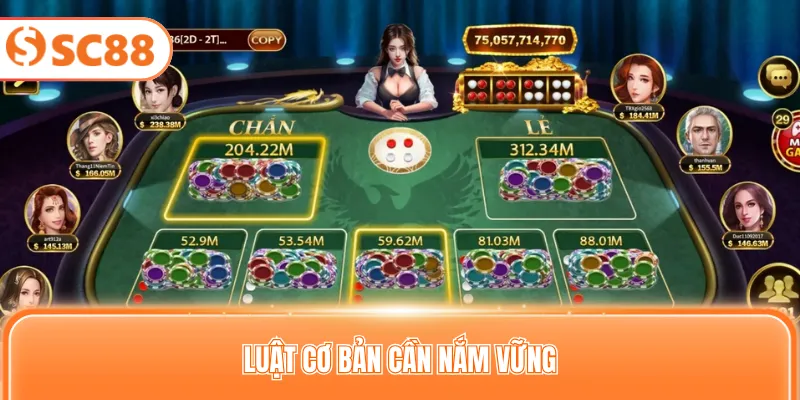 Luật cơ bản cần nắm vững