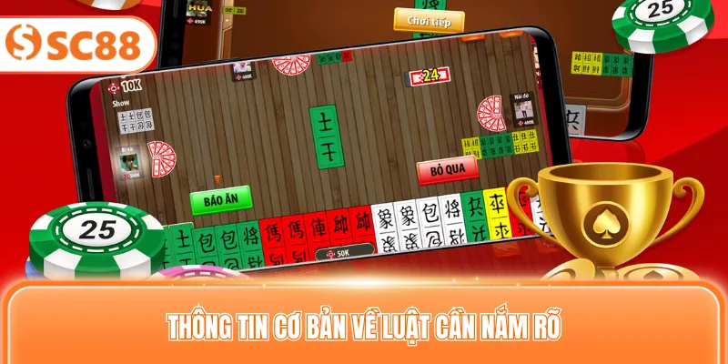 Thông tin cơ bản về luật cần nắm rõ